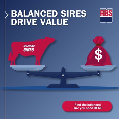 01_SireSummary_BalancedSires_1225_1200x1200