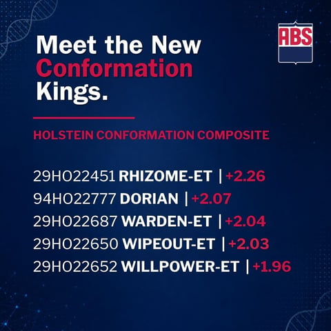 10-SireSummary_HCC-List_0826_1200x1200