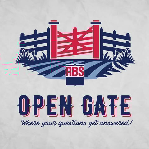 1200x1200 Email_OpenGate