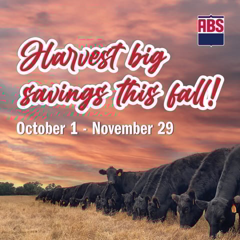 1200x1200 Organic_Paid Social_24FallSpecial-1