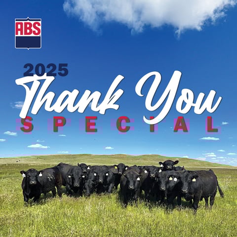 1200x1200 Organic_Paid Social_24ThankYou (1)