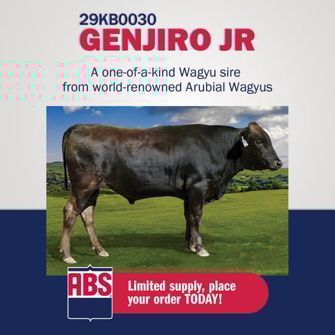 1200x1200 Organic_Paid Social_Genjiro-1