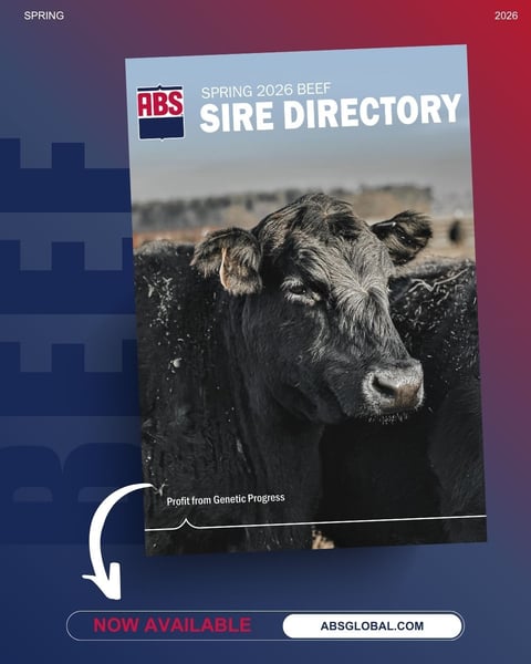2025_BeefSireDirectory_1080x1350_NowAvailable