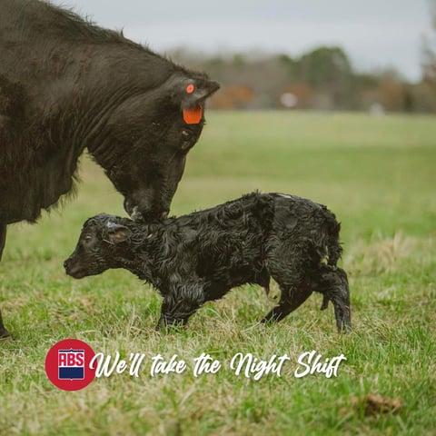 2026SDSpreads_0226_Nightshift_1200x1200