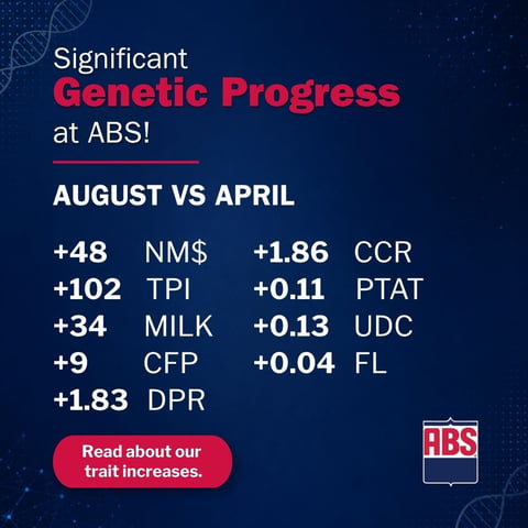 5-SireSummary_AprilVsAugust_0826_1200x1200