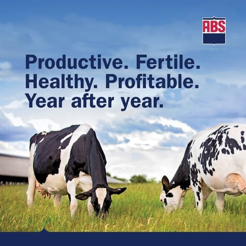 7-PFGP_ABScow_1080x1080