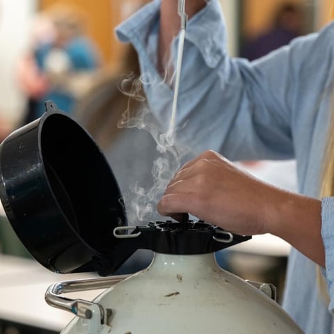 AIPays (1200 x 1200 px)