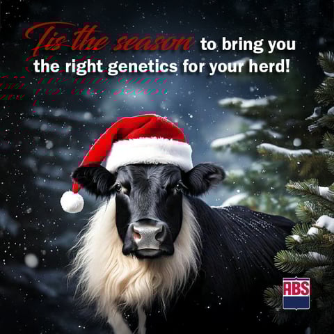 BullSanta_1200x1200