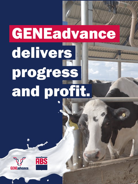 GLOBAL_HeiferReplacementDecision_GeneAdvanceDeliversProgressProfit_0326_SocialMedia_EN1