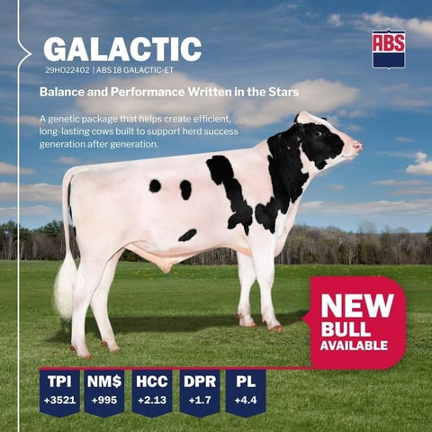 Galactic_BullRelease_0826_1080x1080 (1)