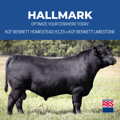 HALLMARK