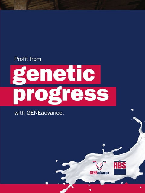 HeiferReplacementDecision_RealGains_0326_SocialMedia_EN5