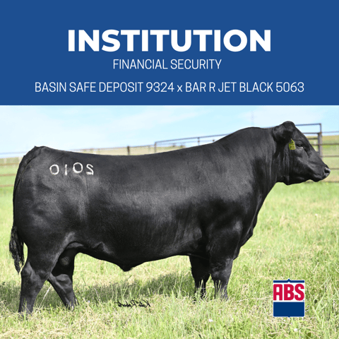 INSTITUTION