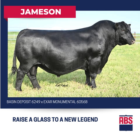 JAMESON (3)