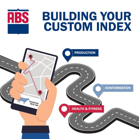 NAM | US | Custom Index Graphic