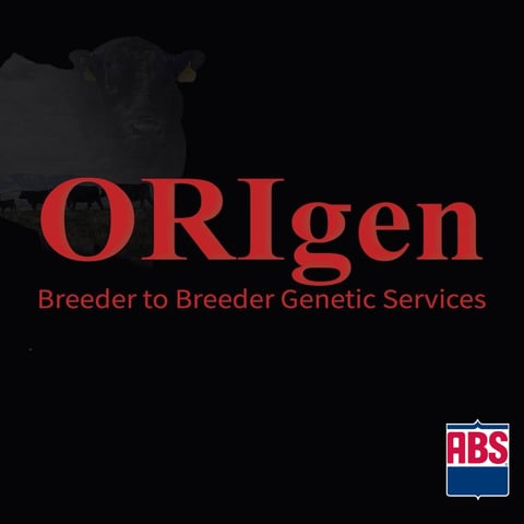 Origen (1200 x 1200 px)