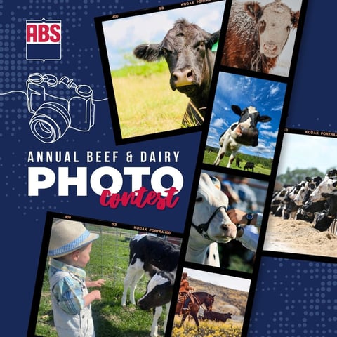 PhotoContest_1200x1200_SquarePost_0526