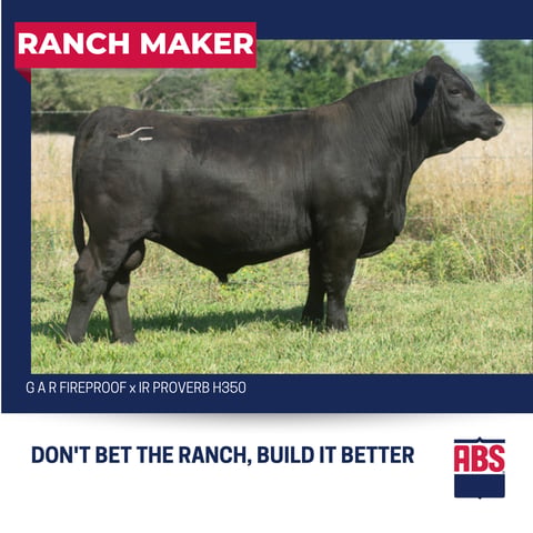 RANCH MAKER