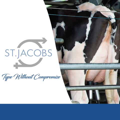 STJHeader (1200 x 1200 px)