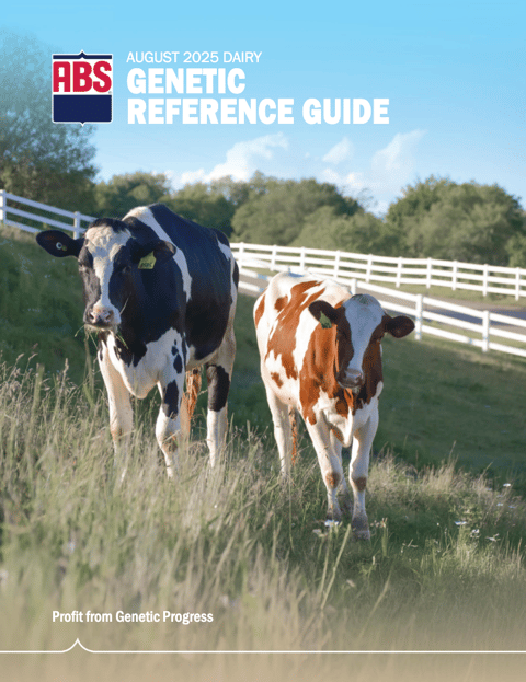 Screenshot 2025-08-19 at 4.55.26 PM