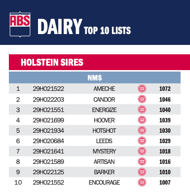 Screenshot 2025-08-20 at 8.08.36 AM