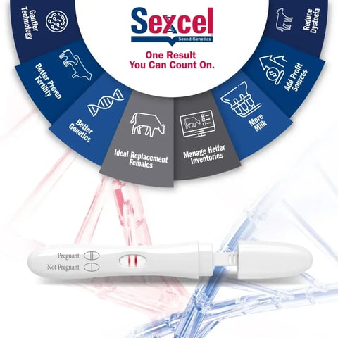 SexcelWhy_Radial_PregTest_1200x1200