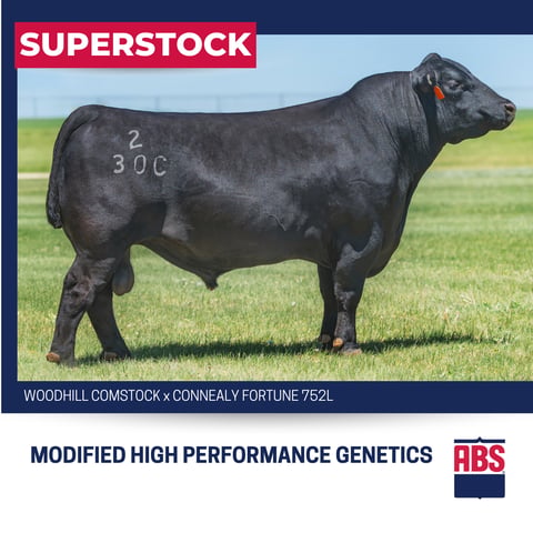 SUPERSTOCK (1)