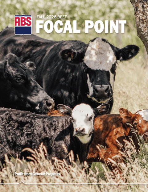 2026 Focal Point