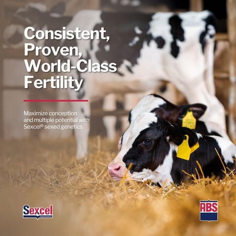 Sexcel_Fertility_0626_1200x1200