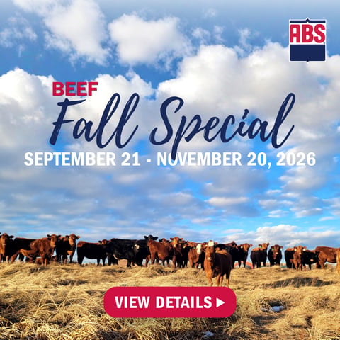 Fall Special