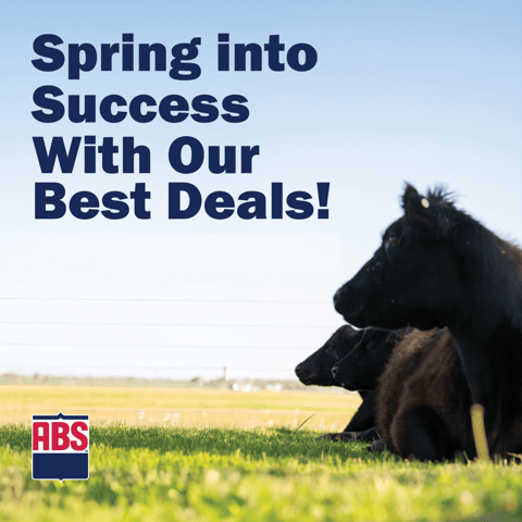 SpringSpecial