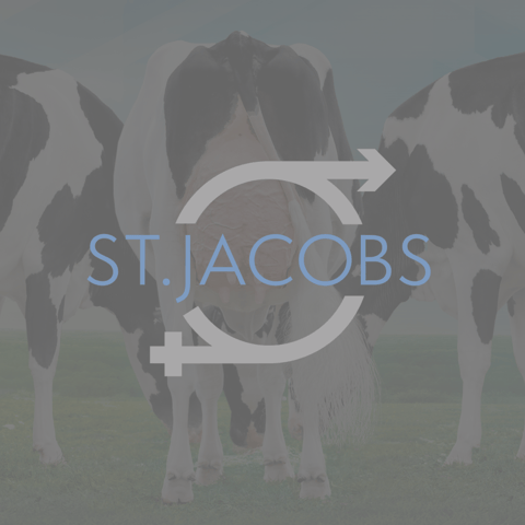 StJacobs (1200 x 1200 px)