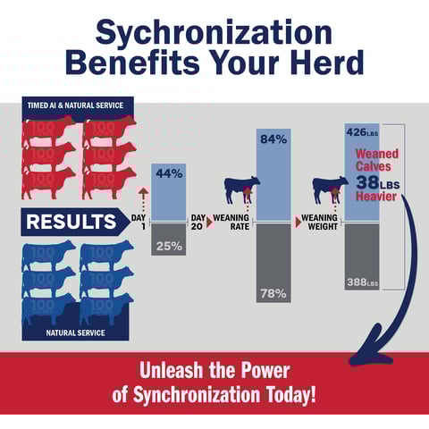 Synchronization_0323_1200x1200_Social-1