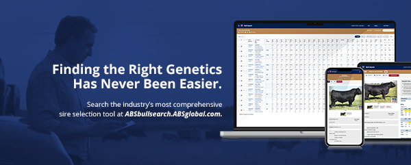 Tools CTA_BeefEmail_2026