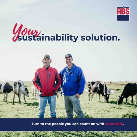Your Sustainabiltiy Solution