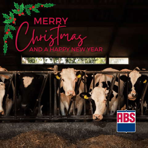 dairychristmas
