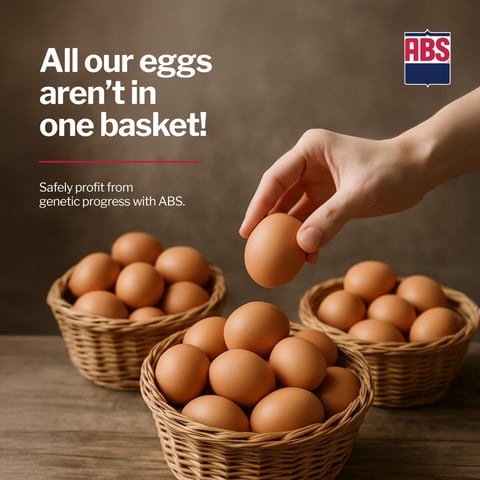 PFGP_EggsBasket-Literal_1225_1200x1200